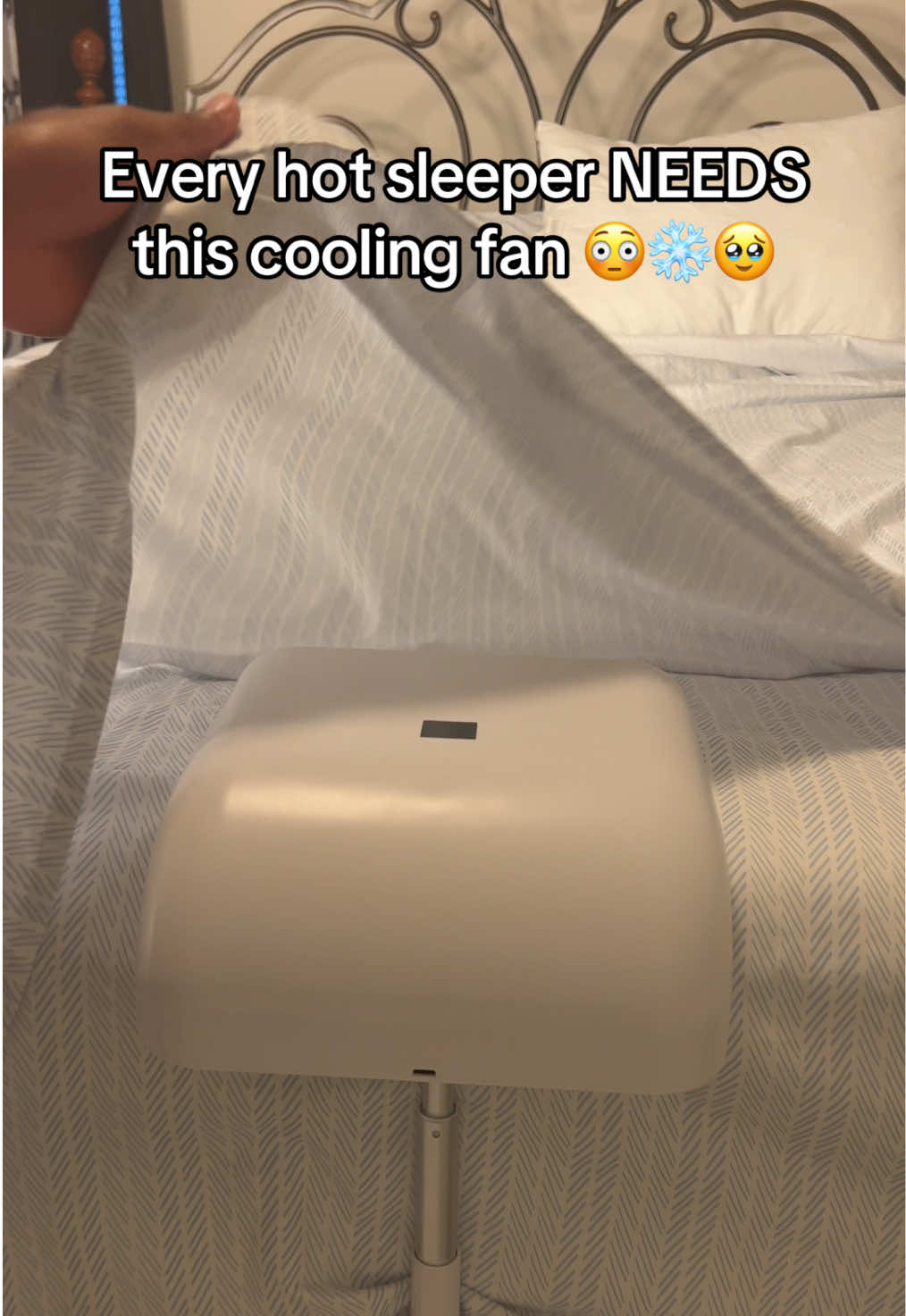 @RoseBloom