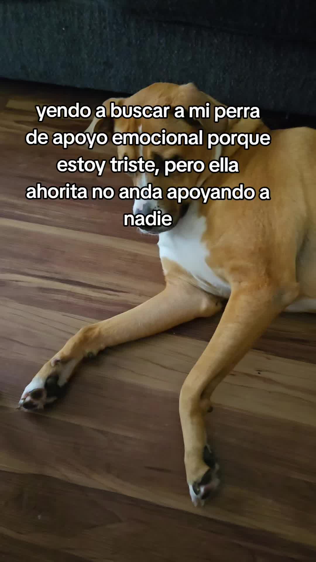 @mich ayala
