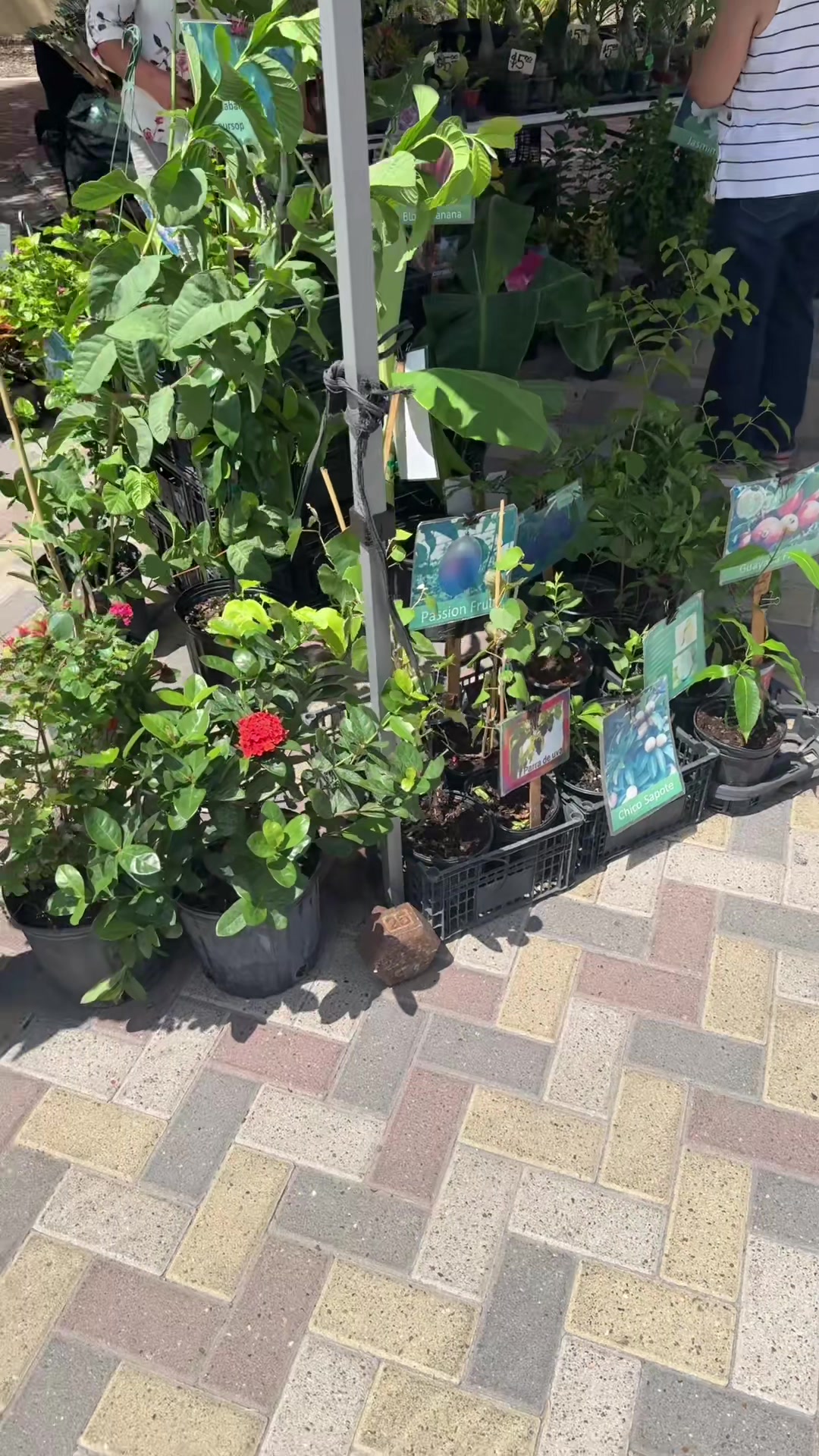 @themagicvalleygardener
