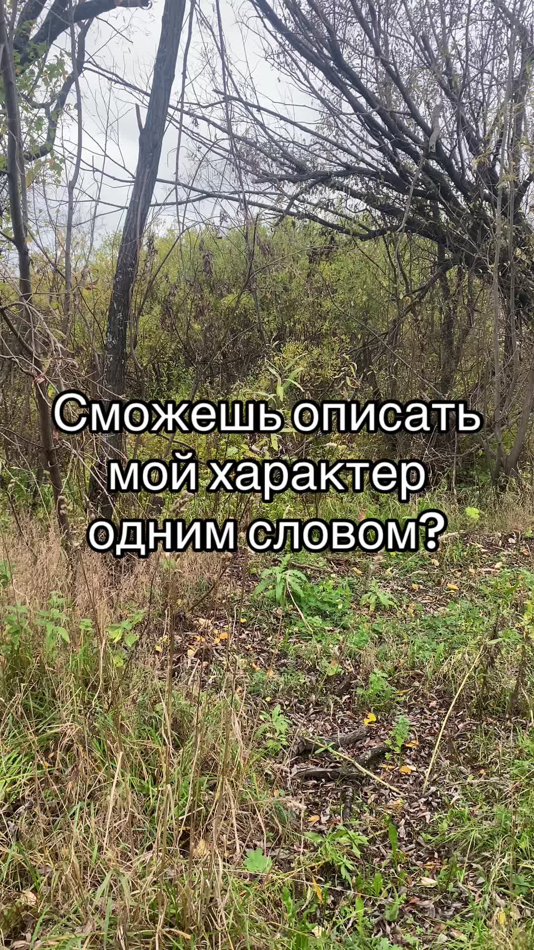 @Данил