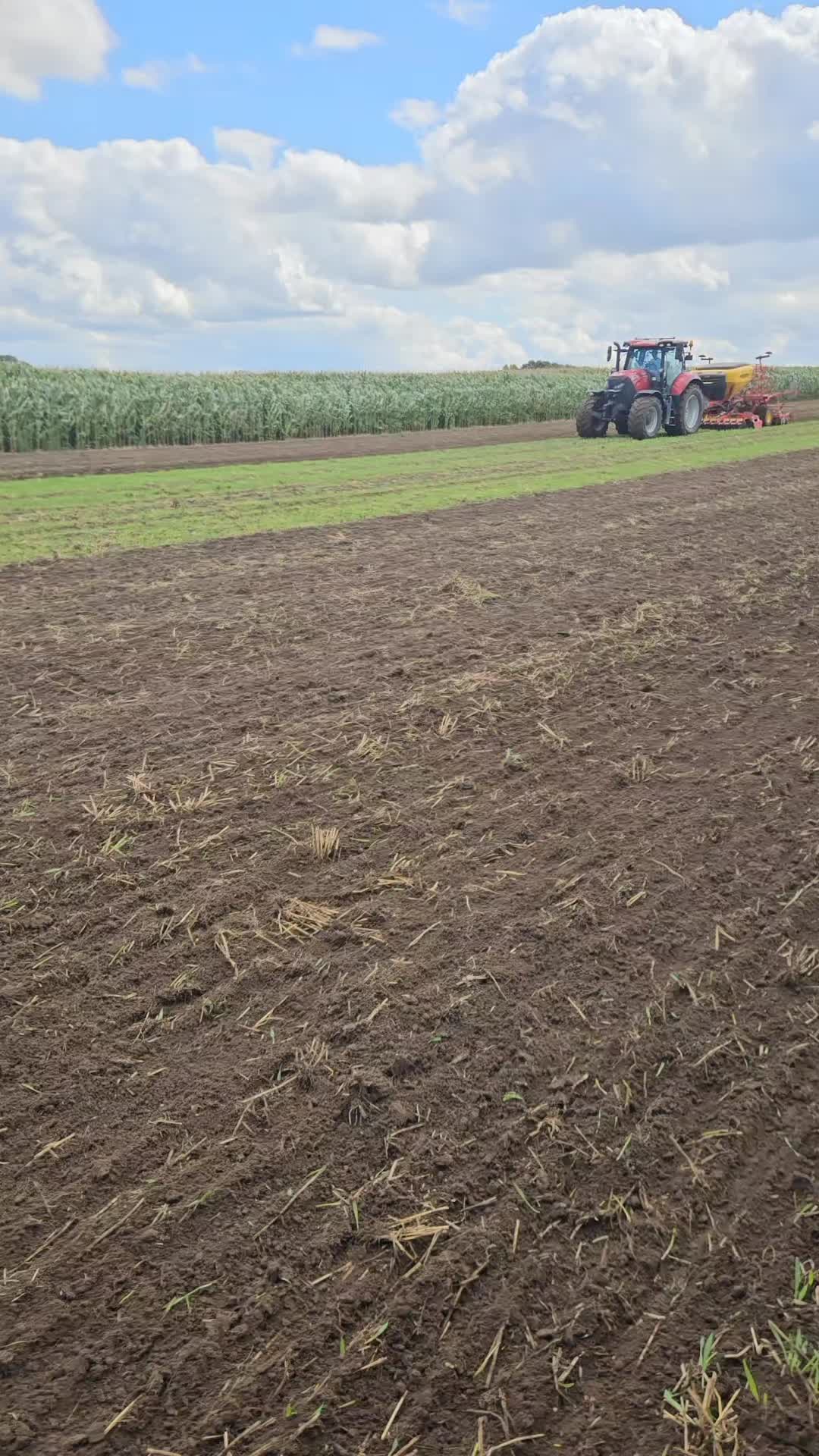 @Młody BAMBER🚜🌽