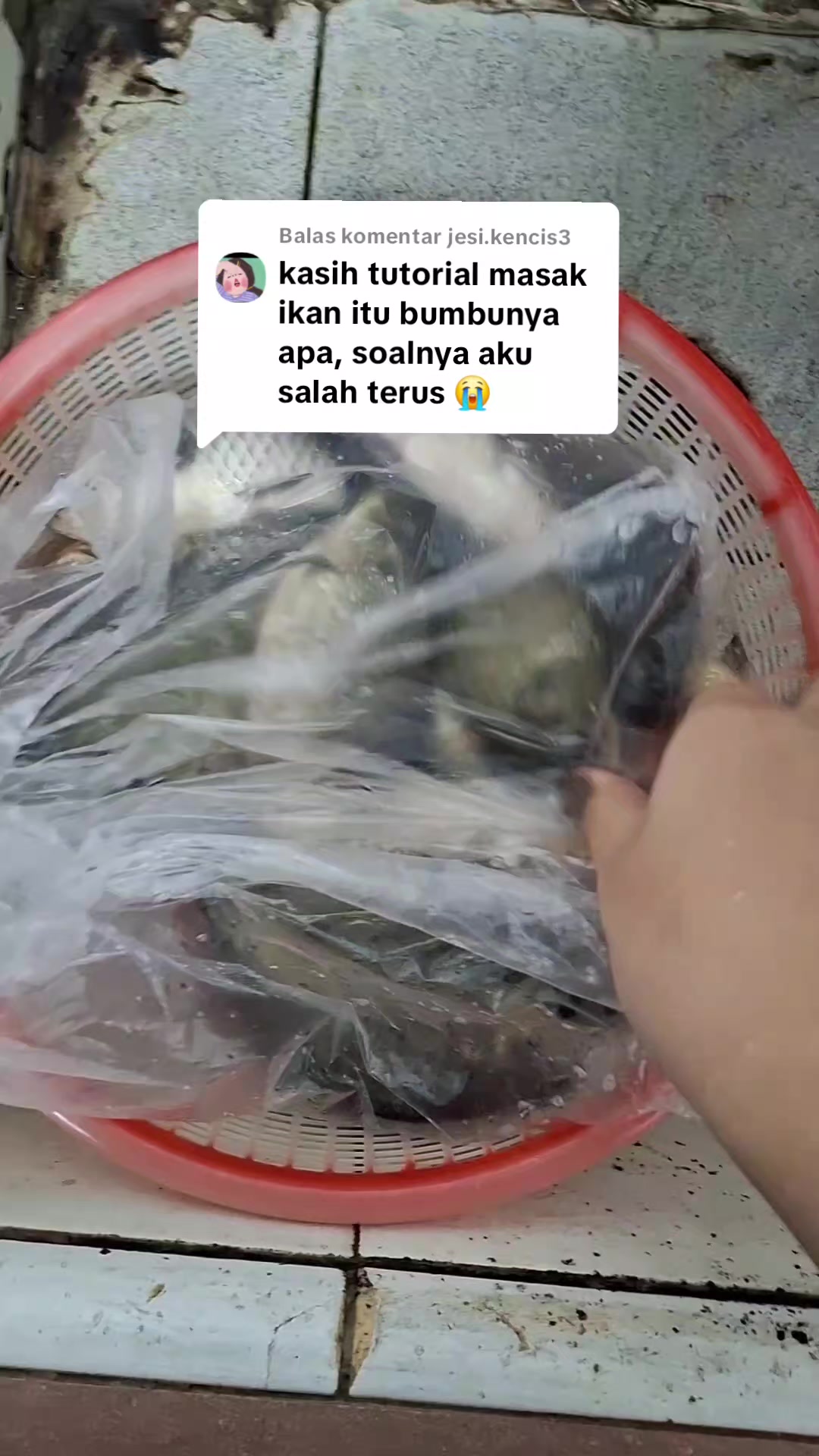 @N.D.A🕊