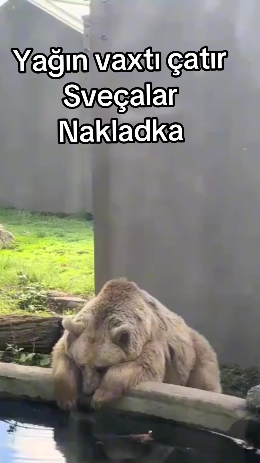 @𝓪𝔁𝓶𝓮𝓭𝓸𝓯𝓯_247