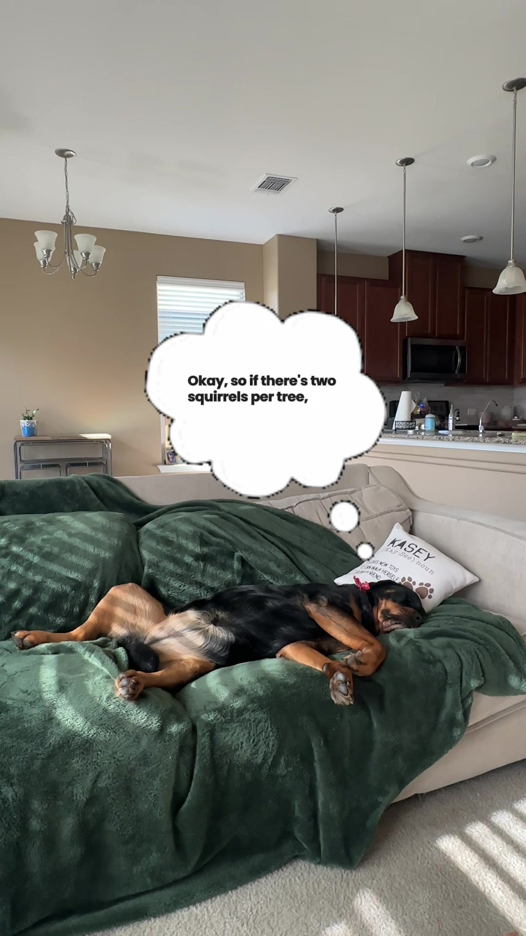@Kasey the Rottie