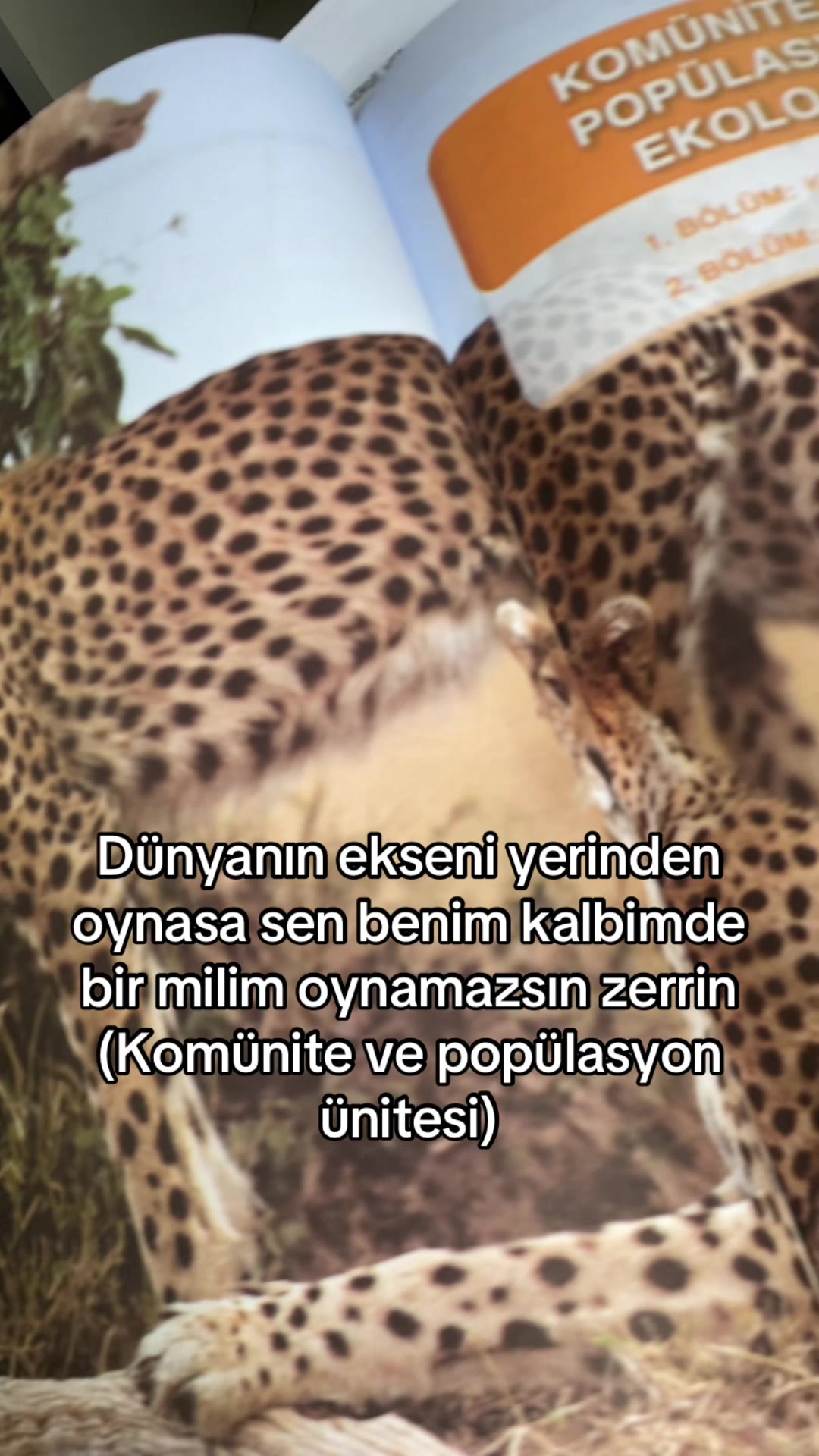 @ykszede27