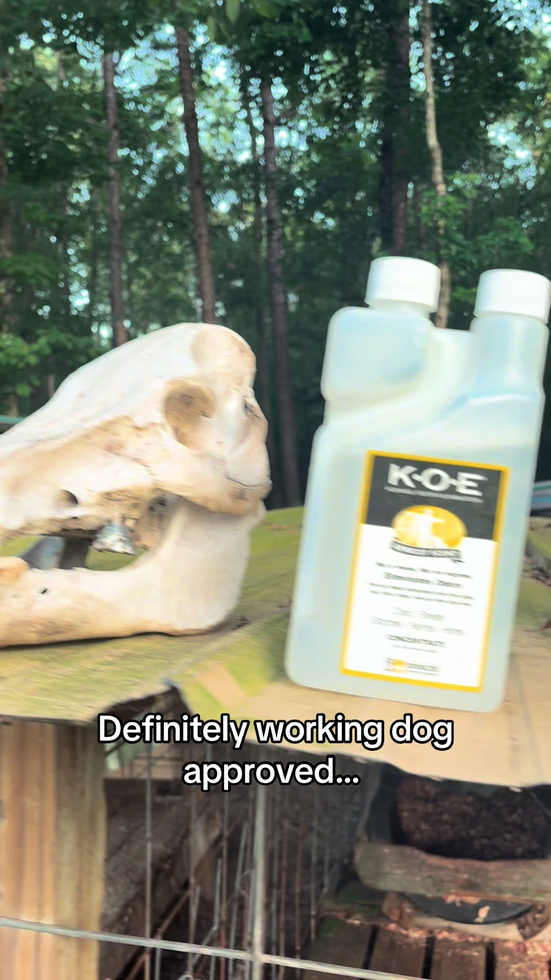@DoubleDownHogDogs