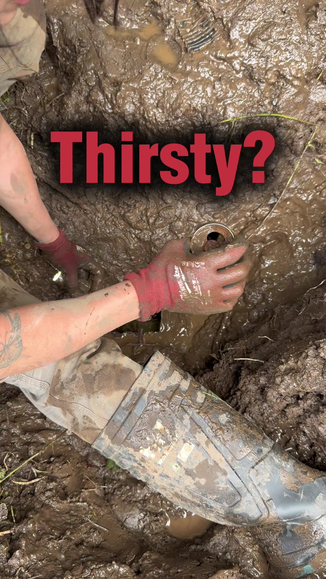 @the_ladyplumber