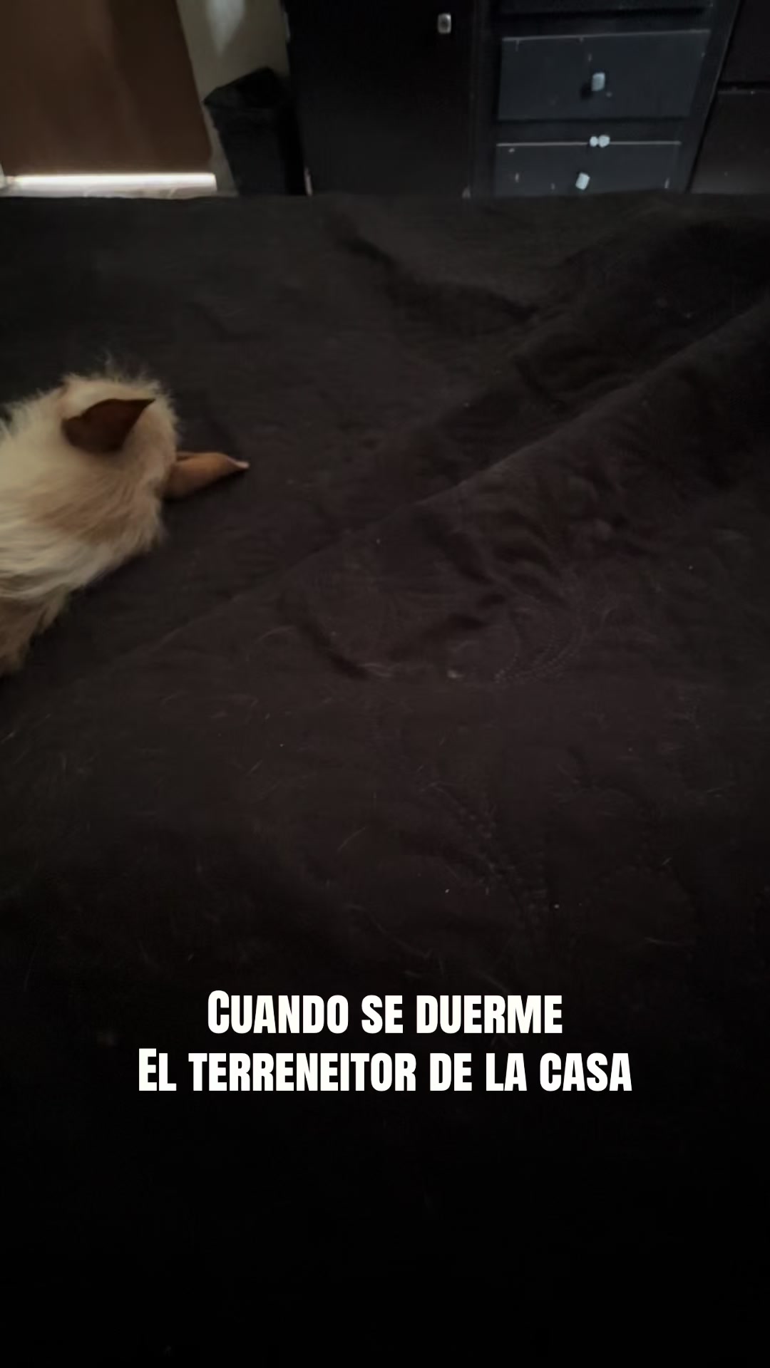 @MarianaArguijo