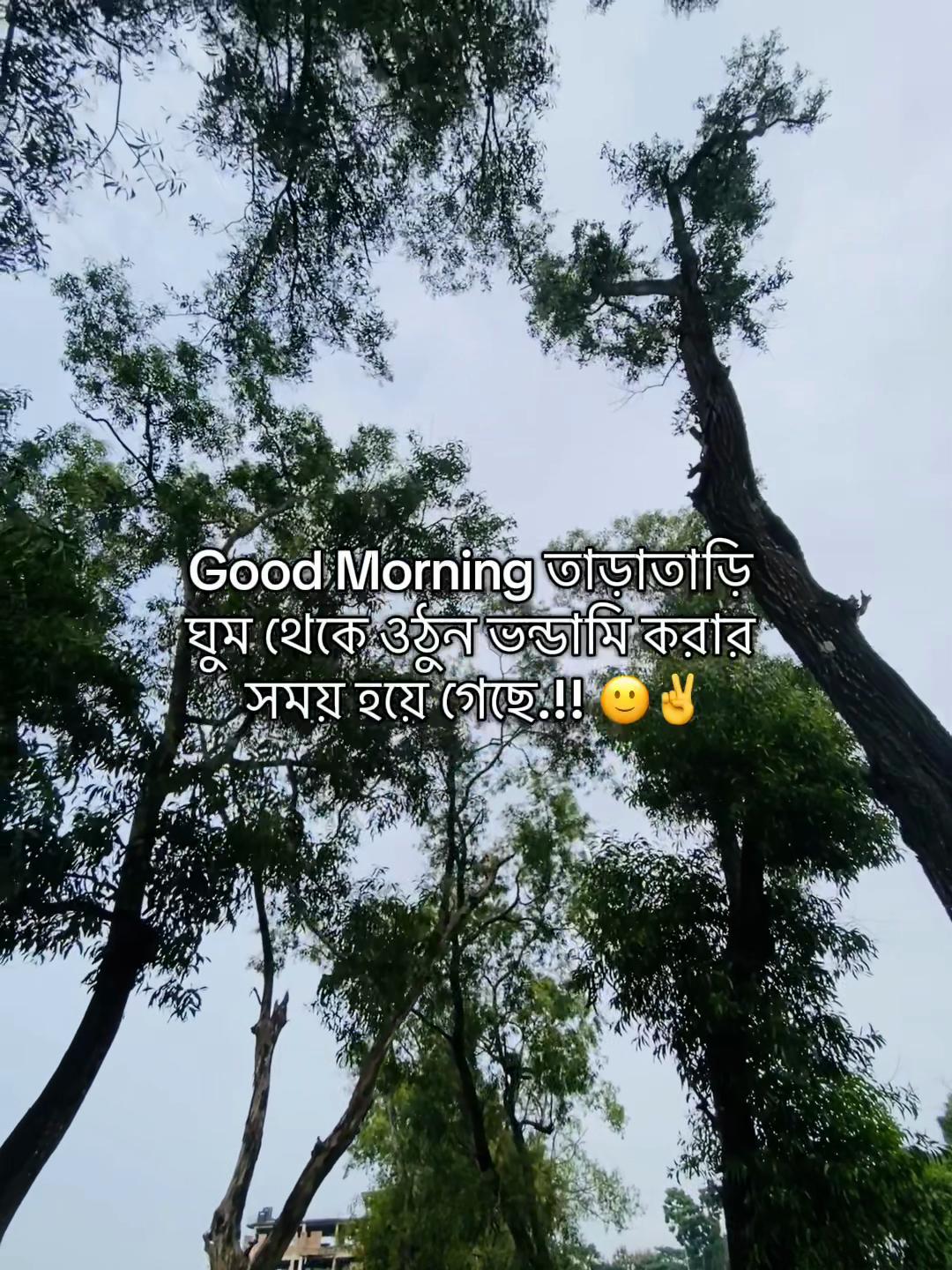 @টিক_টকি 🐸