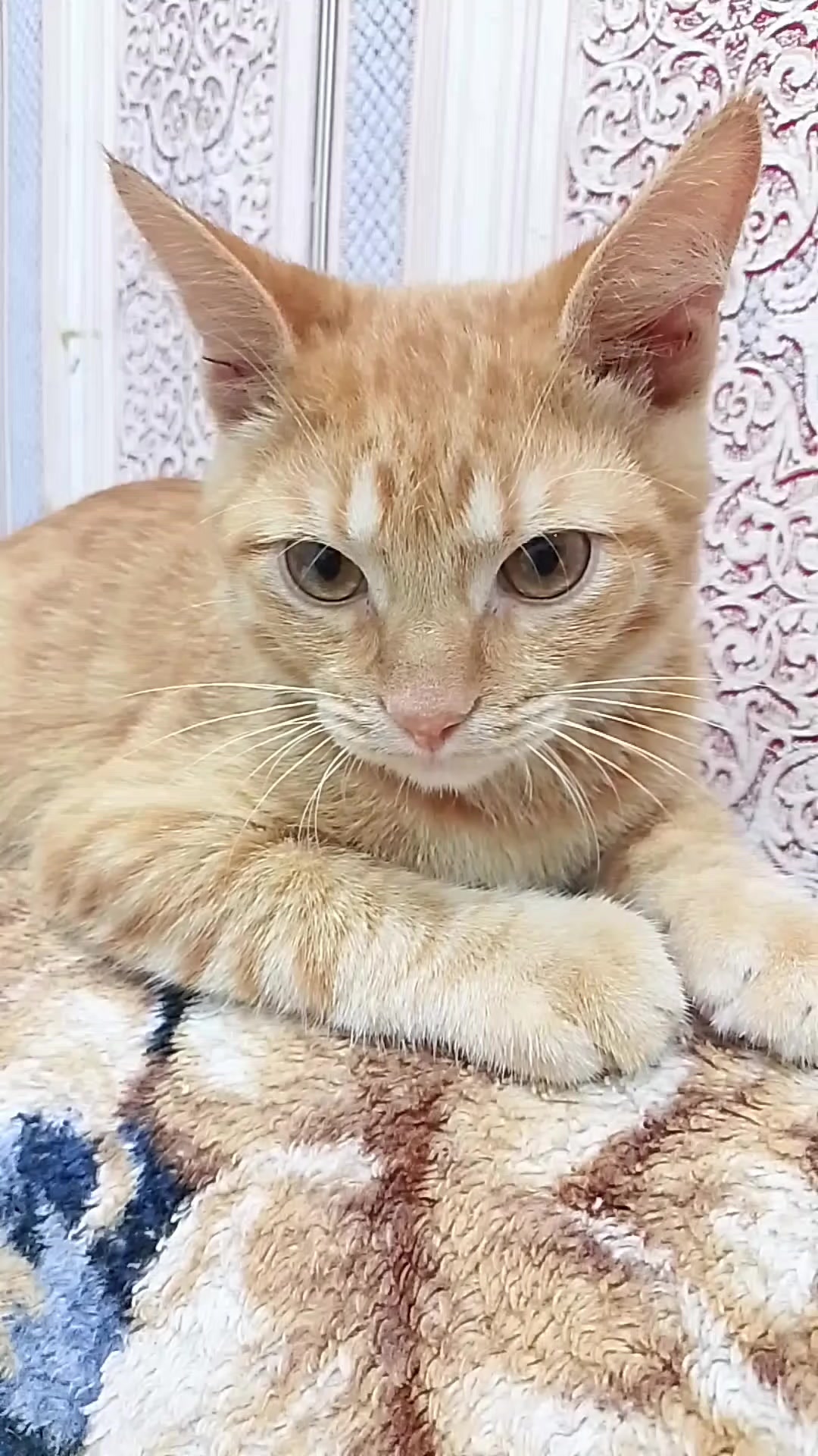 @Ольга