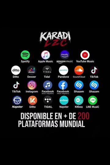 @Karadi Lzc