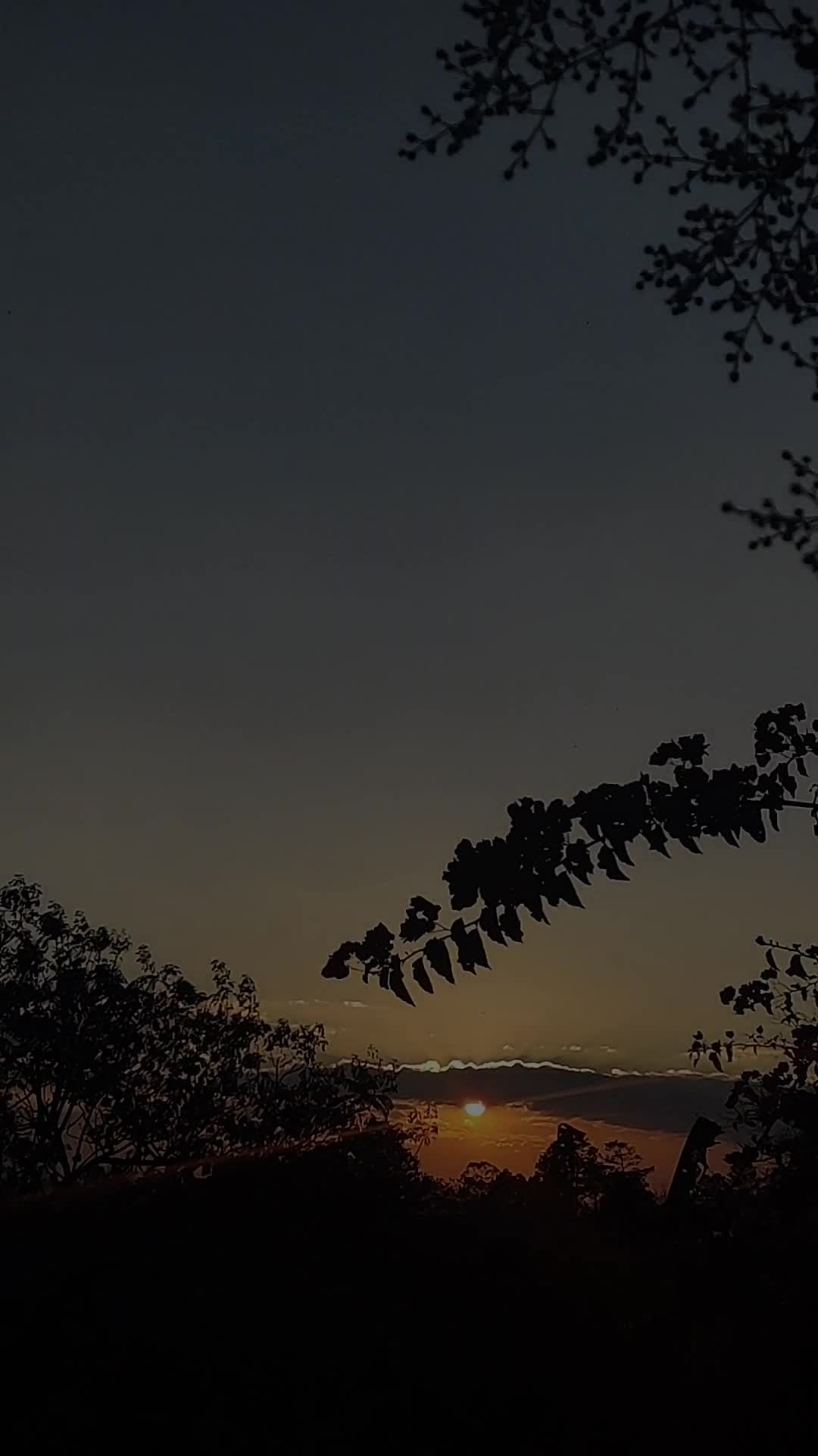 @✓ Cazando Atardecer_ 🌄☀️❤️🔥