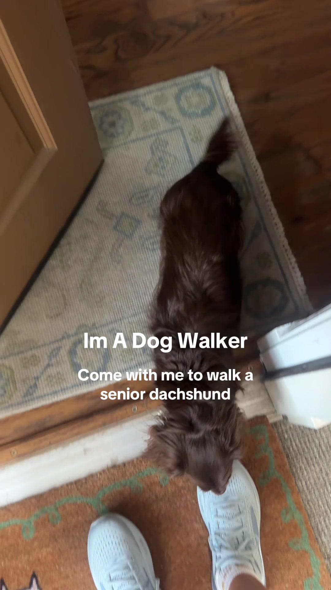 @dallasdogwalker