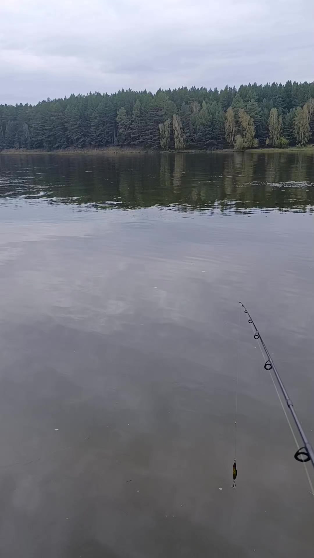 @Элодея