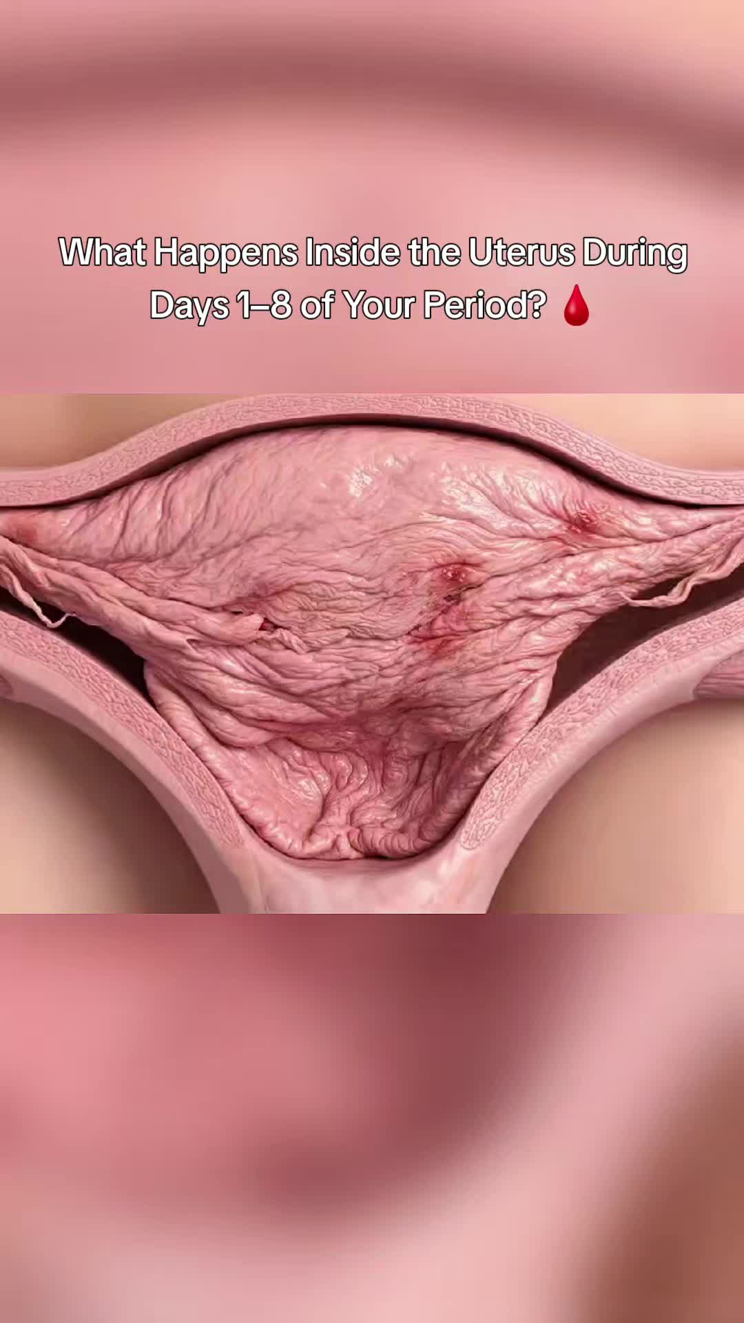 @Femniverse