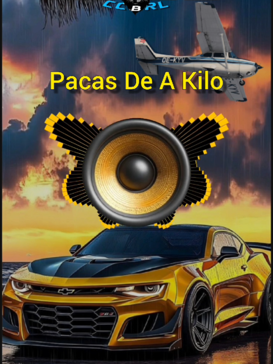 @BASS BOOSTED SONGS LOBO