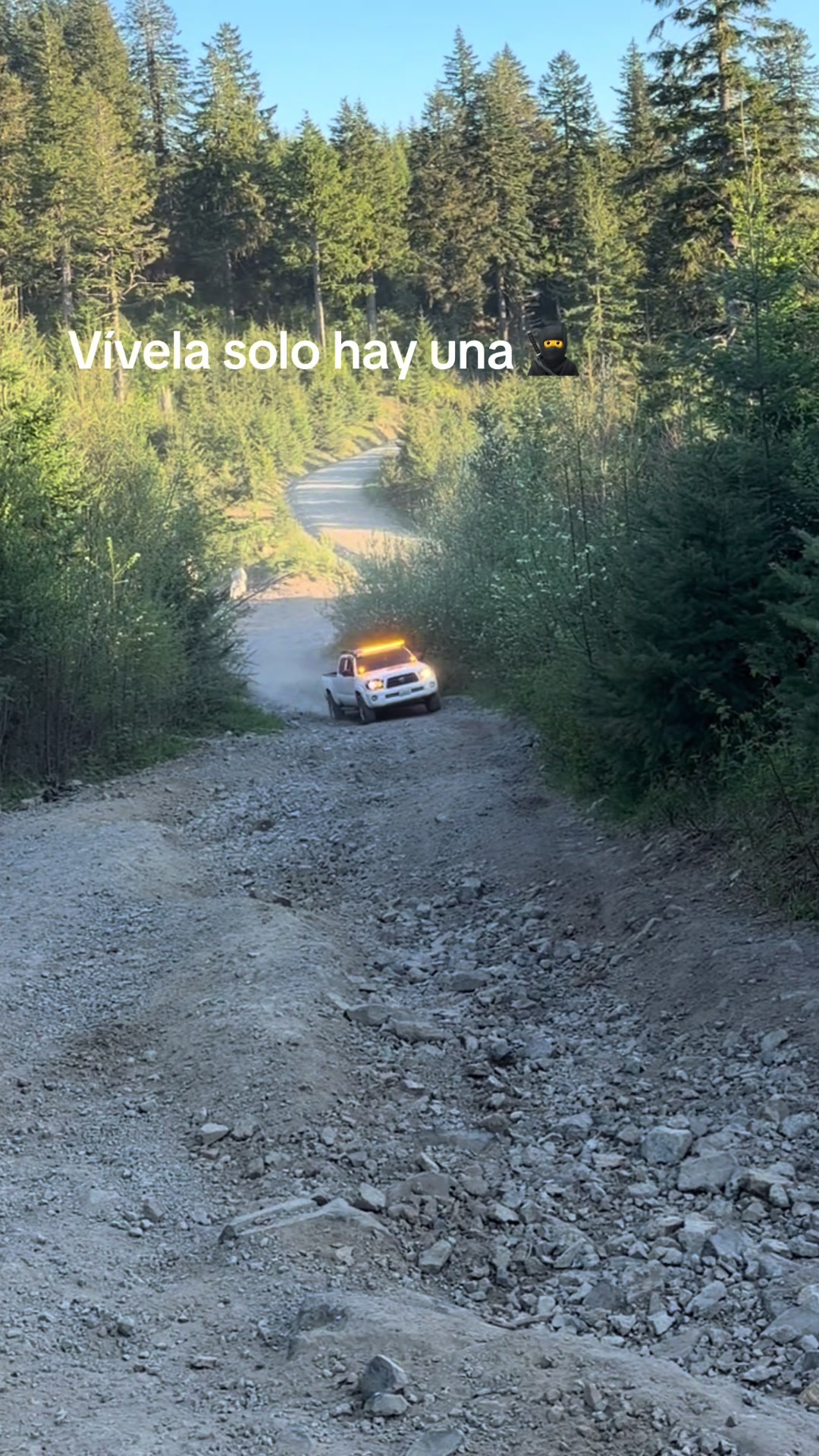 @Gildardo De León
