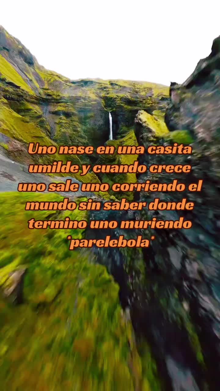 @🇬🇹LOPÉZ PEREZ AAA🐼