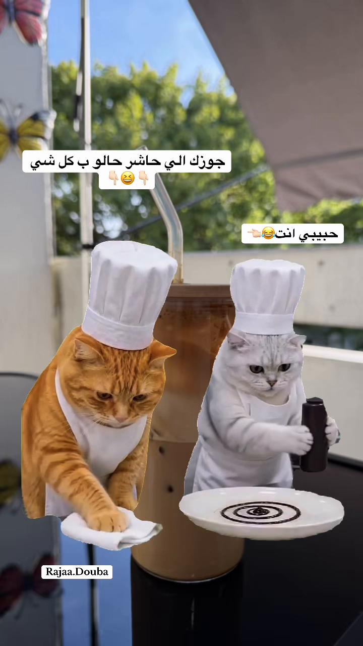 @🇸🇾Rajaa Douba🇩🇪