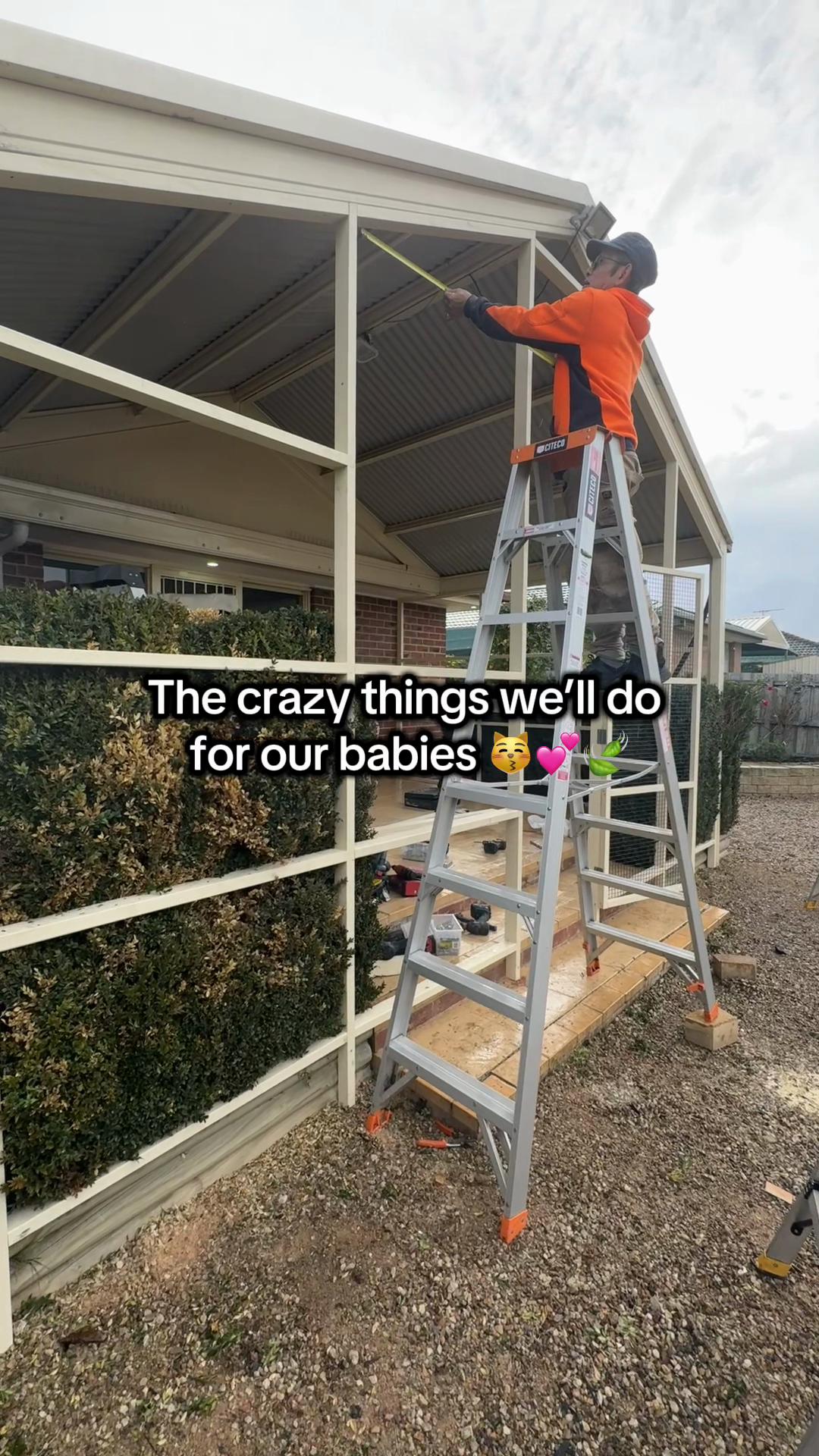 @Backyard Catio Builder
