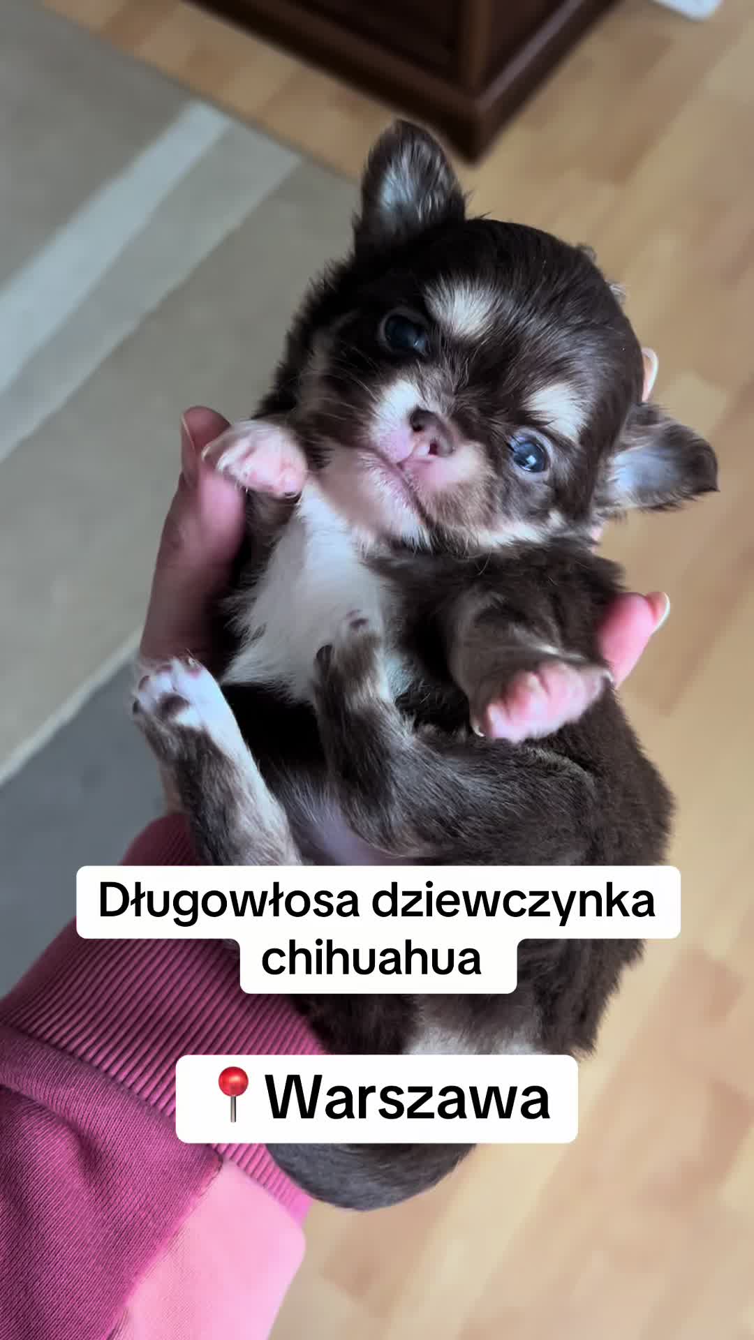 @Ulybki_lilu