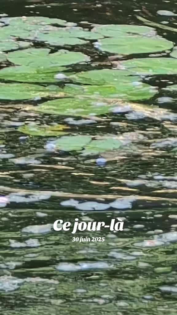 @Jane