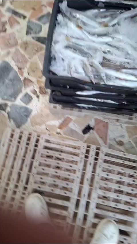 @Fouad p&ecirc;cheur