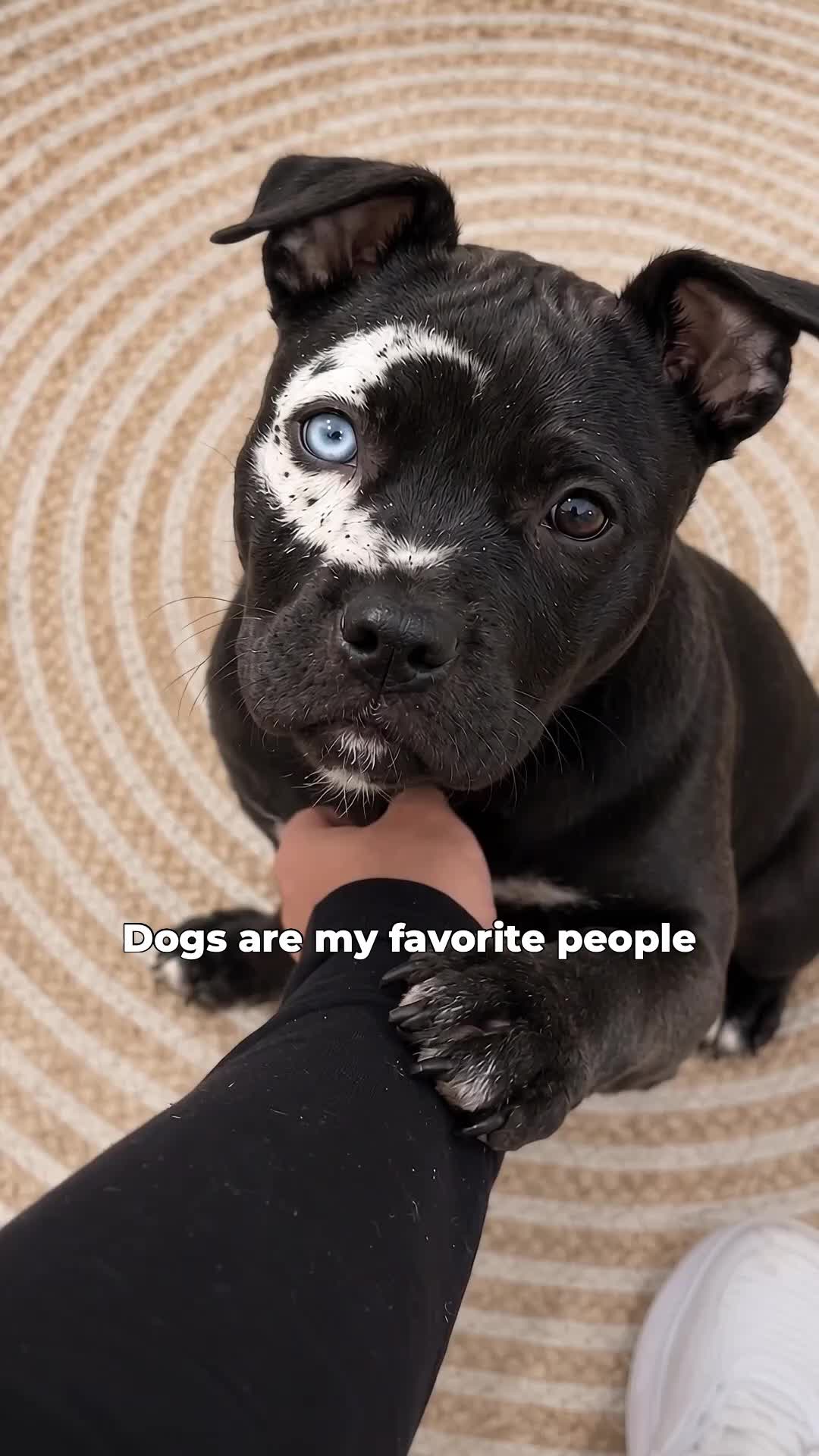 @moonfetches
