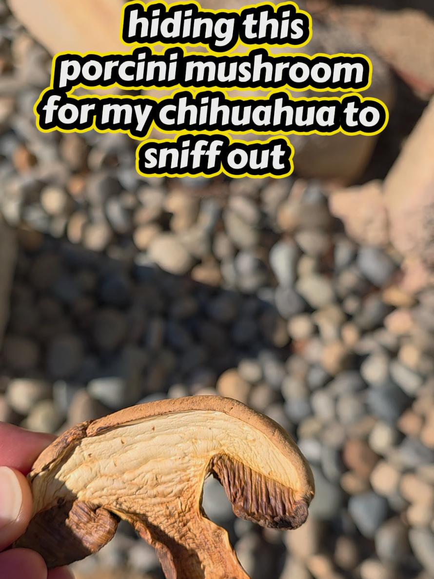 @𝕾𝖙𝖊𝖕𝖍𝖆𝖓𝖎𝖊
