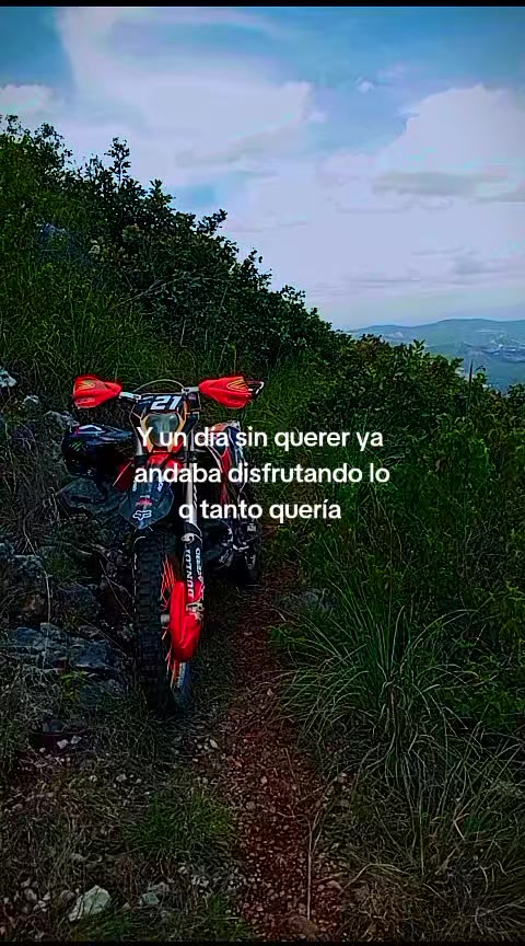 @solo motos Ariel 21
