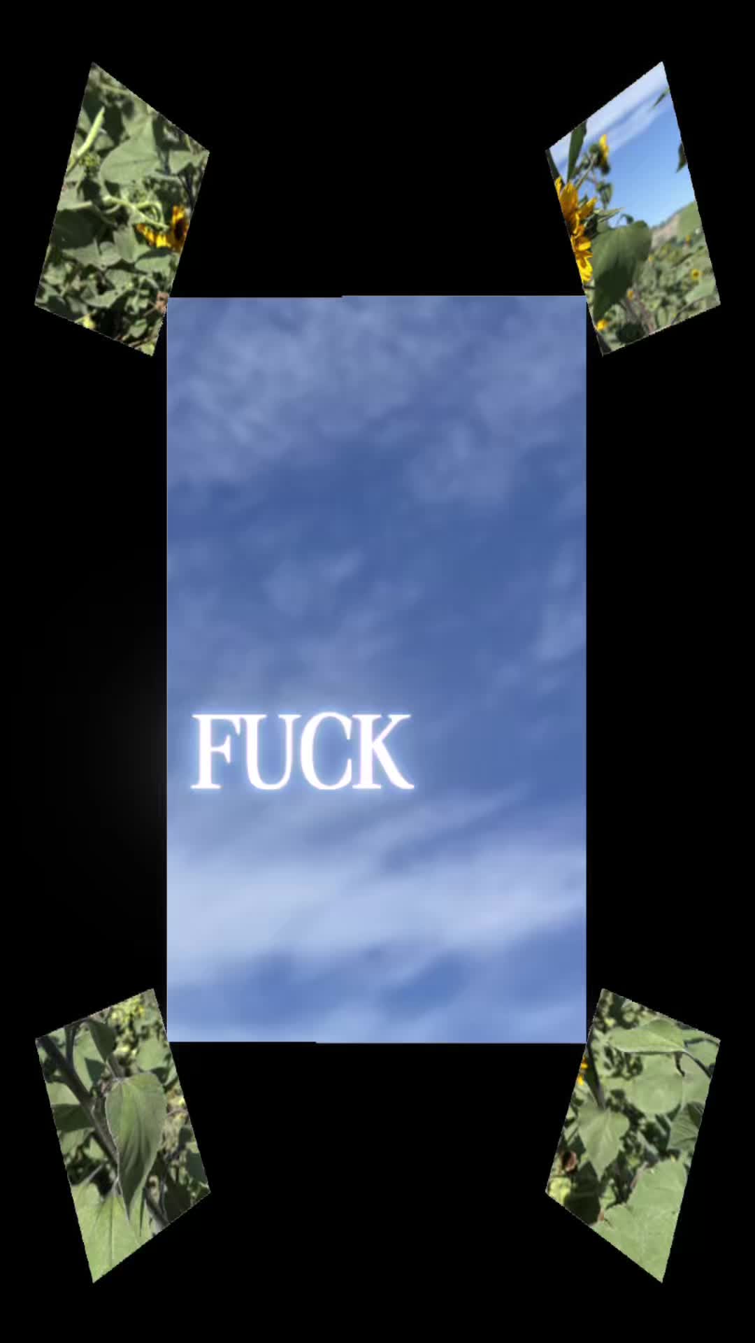@Gizmo