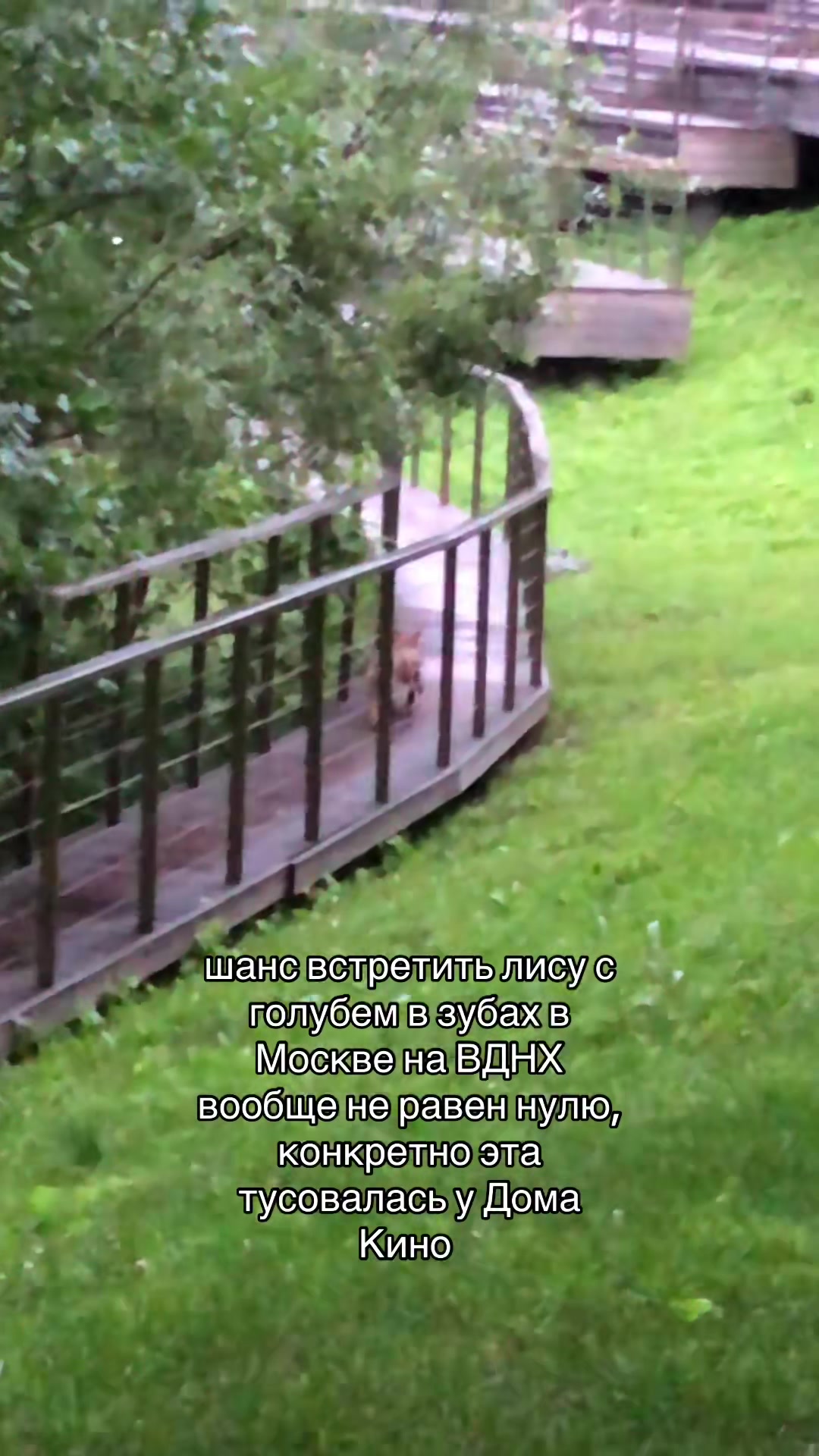 @Sasha Darko