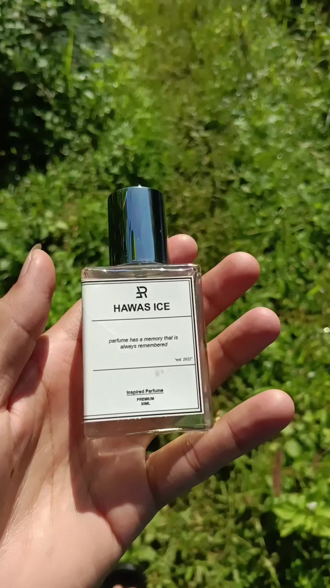 @AraNFth🦋