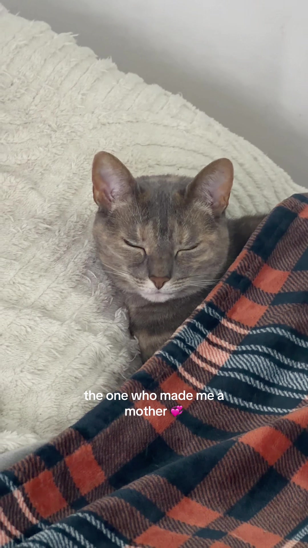 @𝓡♡