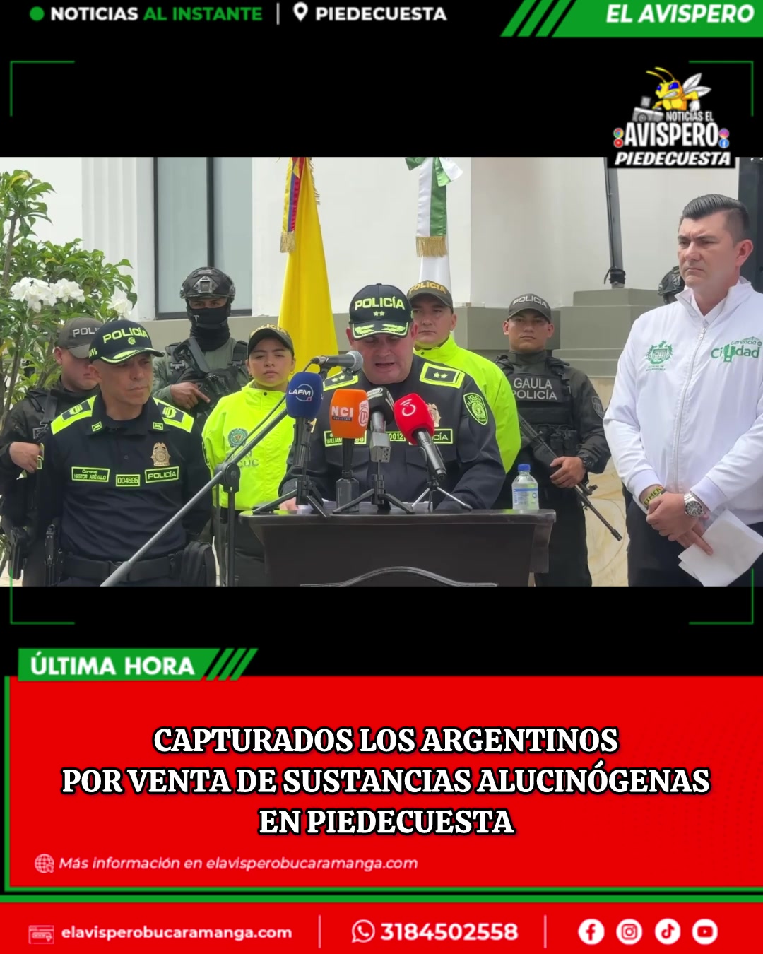 @avisperobucaramanga