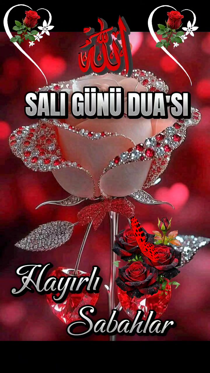 @💚NAKŞİ💜AİLESİ💚EBAGÜL❤️