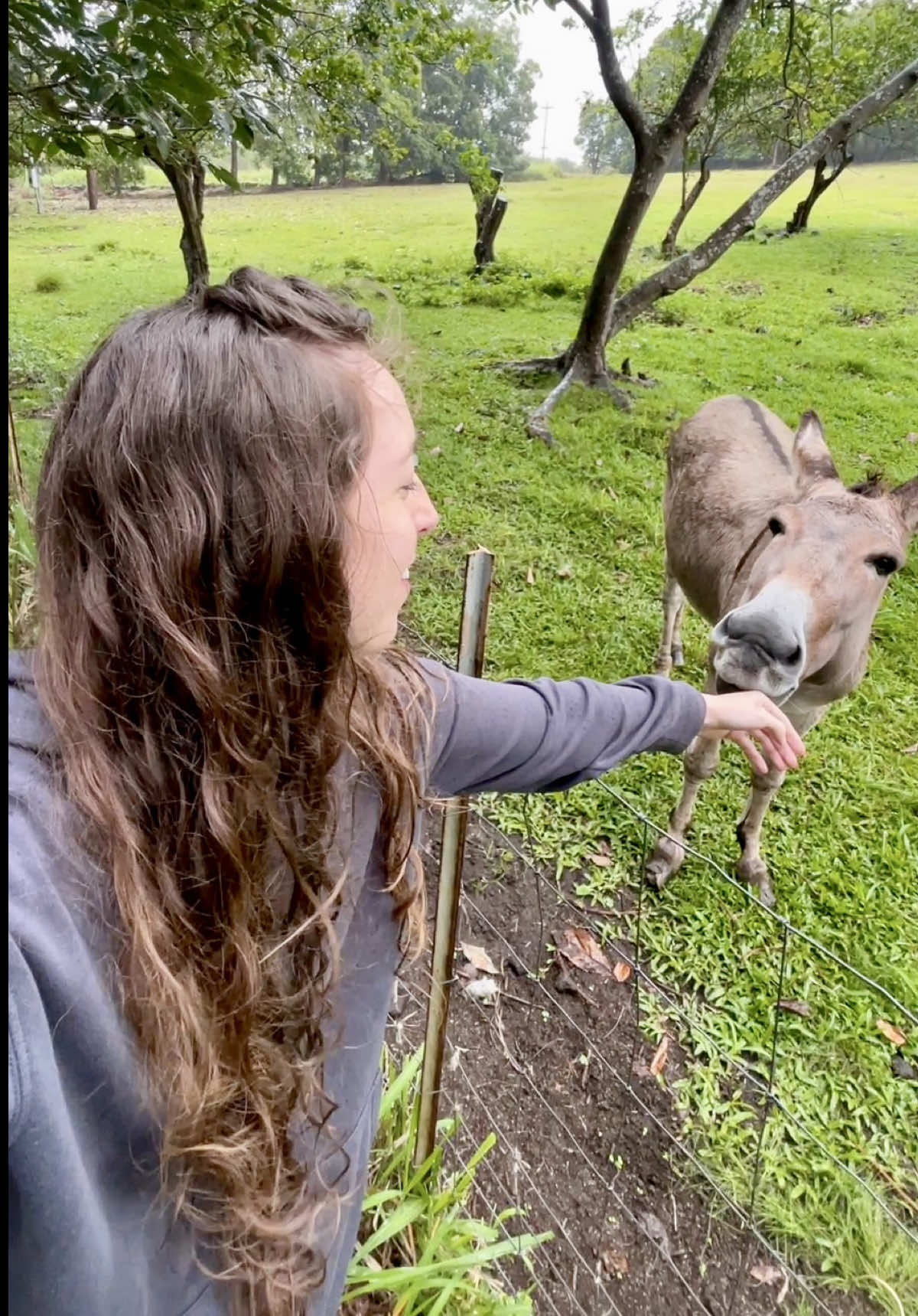 @Sarah 🌱 | Corporate to Farm