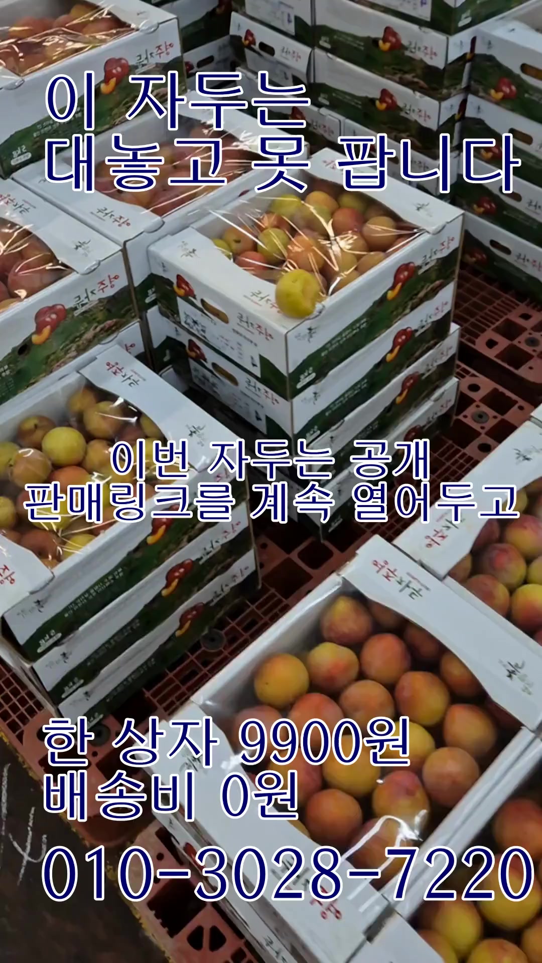 @새콤과일장터