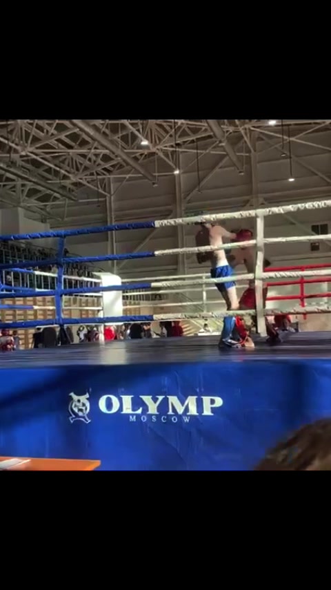 @mamedov63.5