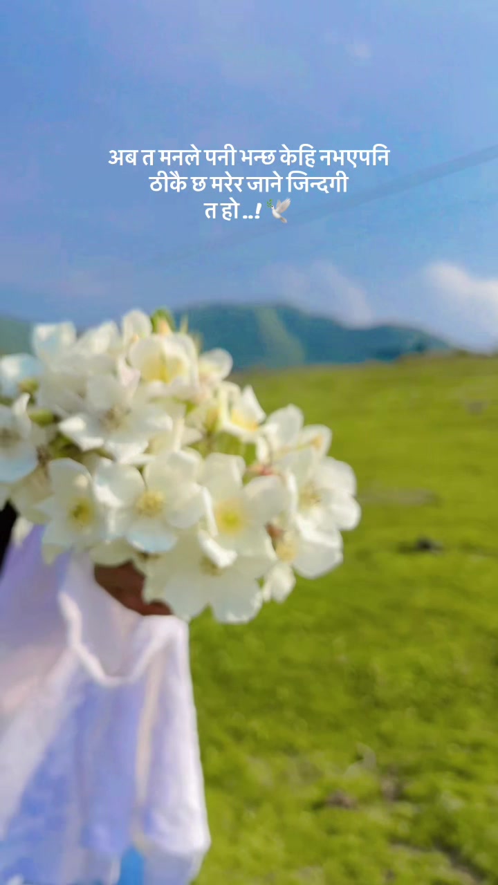 @🆂︎🅷︎🅾︎🆅︎🅰︎🦋