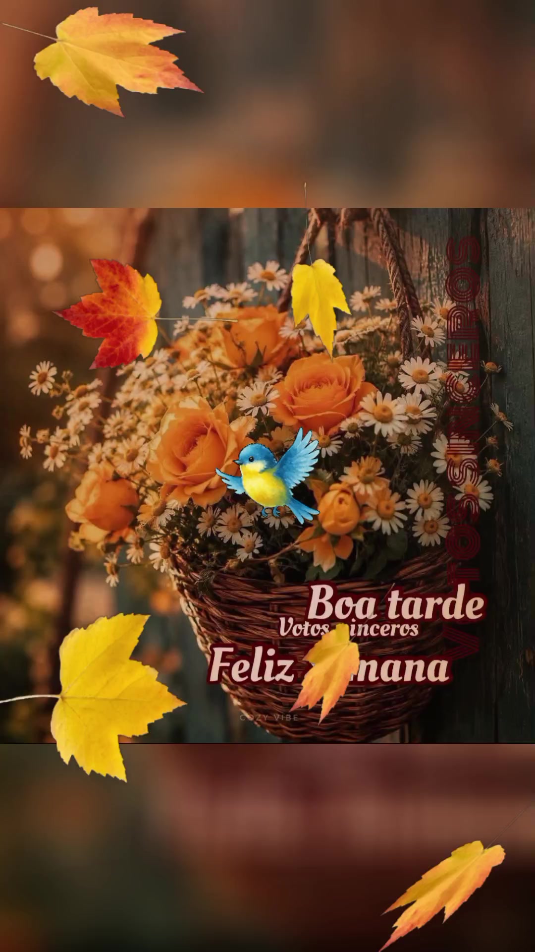 @Valdirene Soares 37