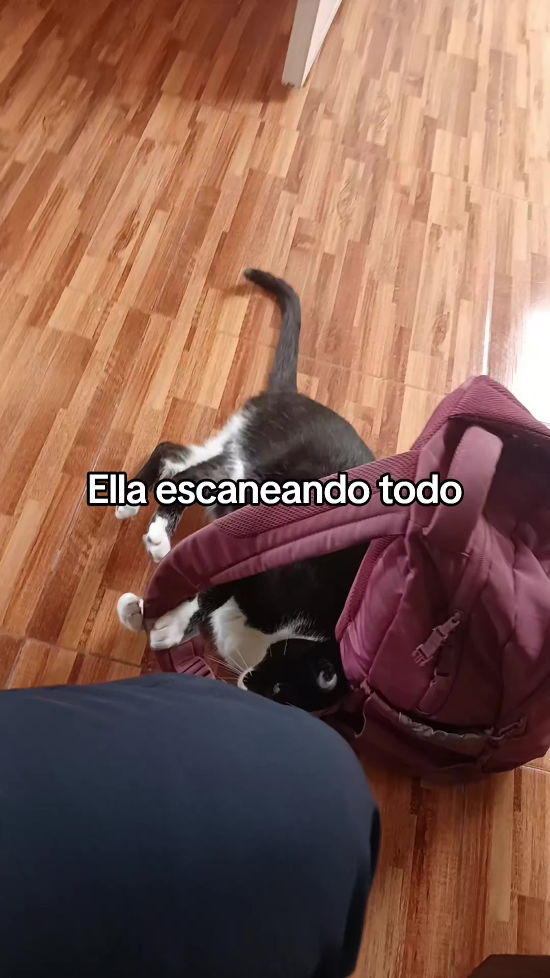 @Airam