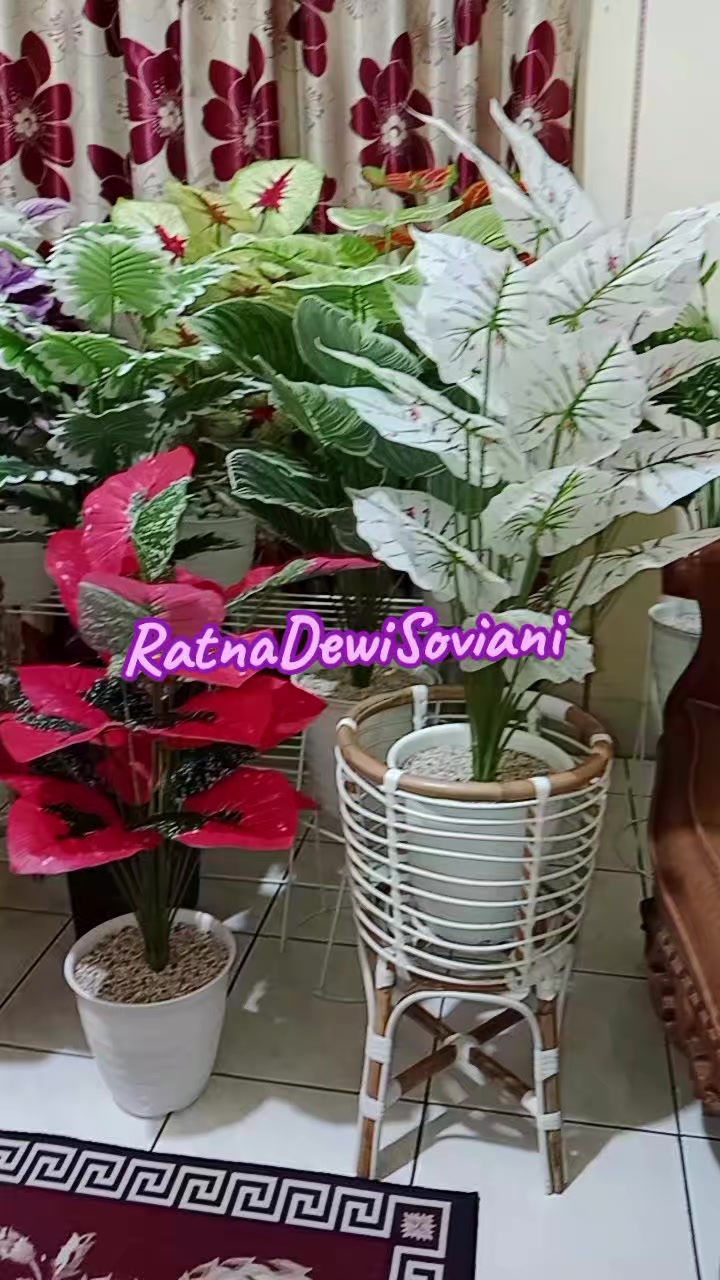@RatnaDewiSoviani