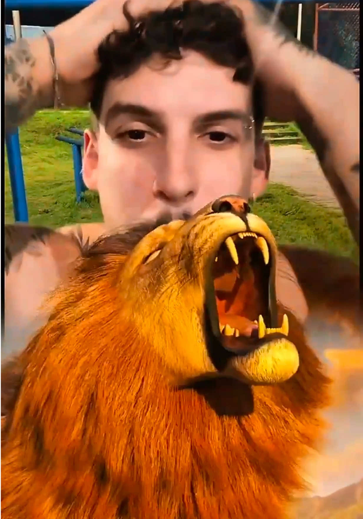 @gabrielfanzak 🍯