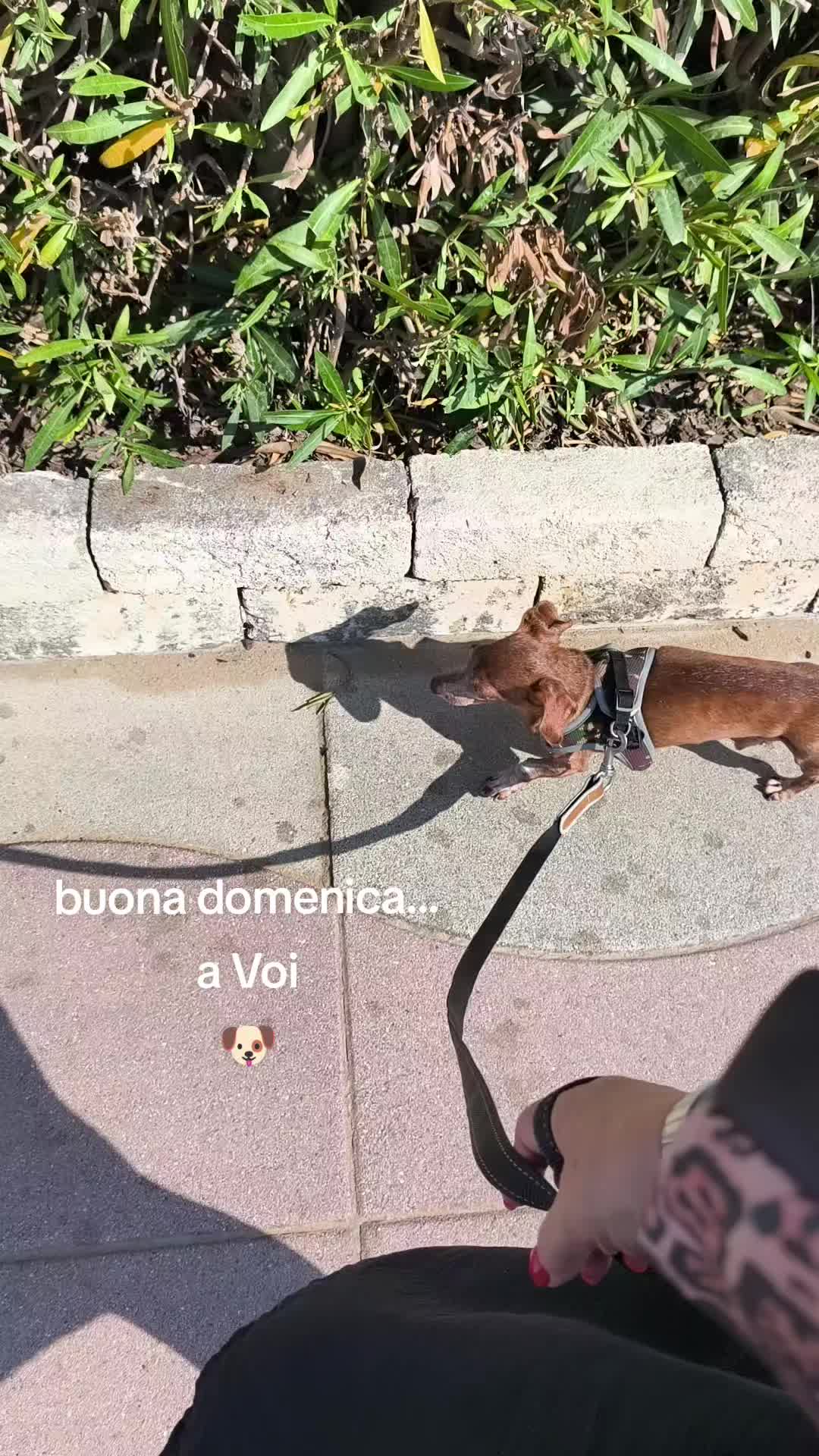 @Marta e Jj