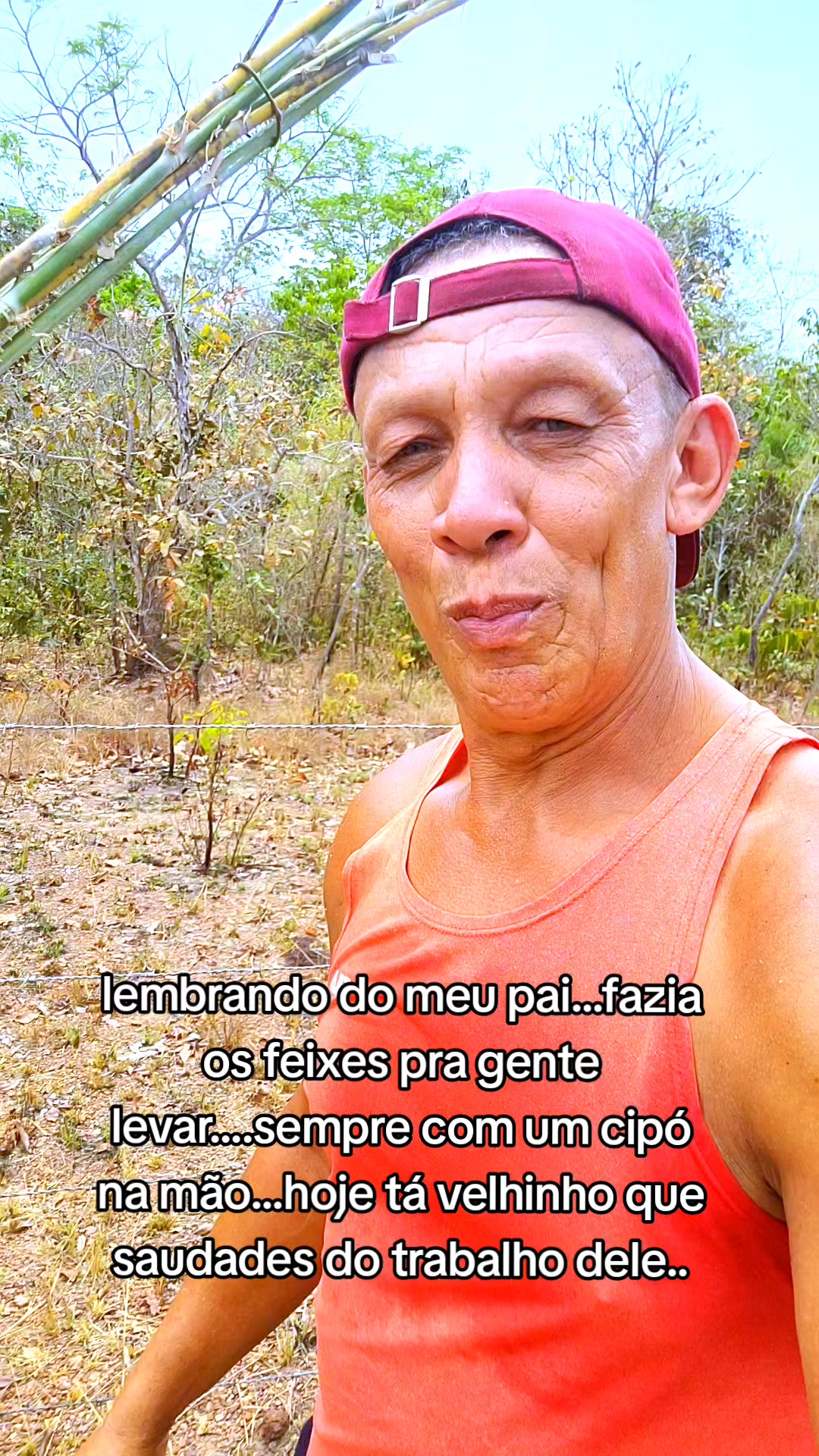 @Professor Barbosa4
