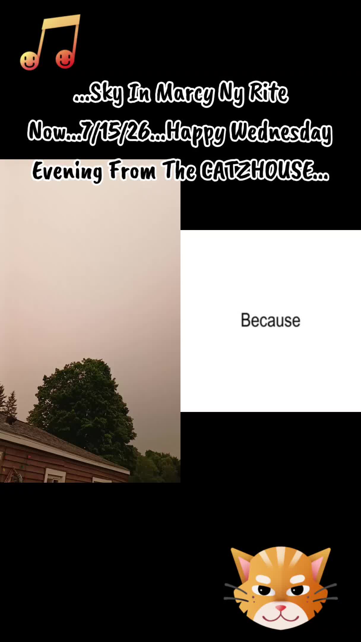 @Booh Hovey crazycatlady3