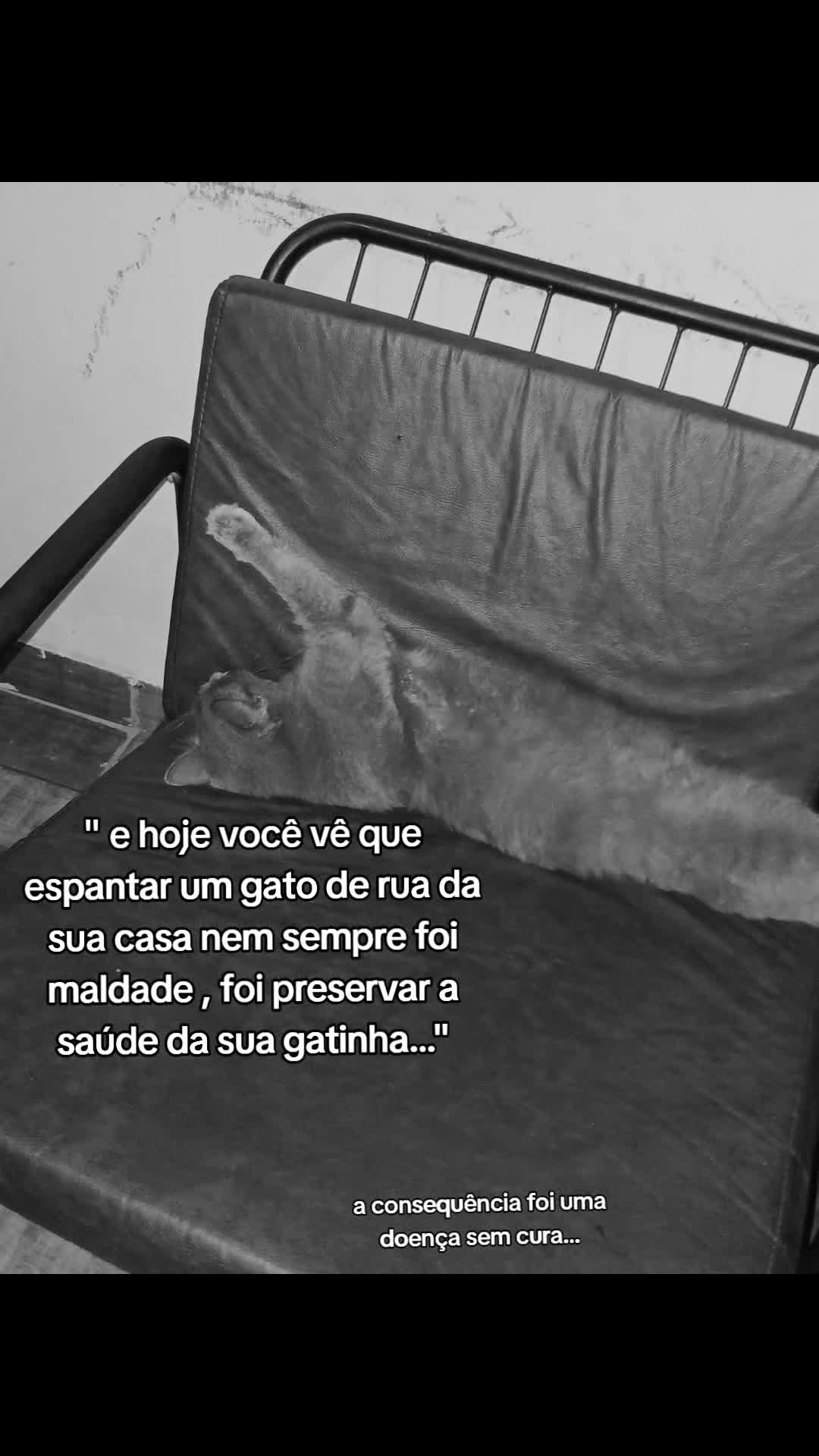 @⋆. 𐙚 ˚lara⋆˚𝜗𝜚˚⋆