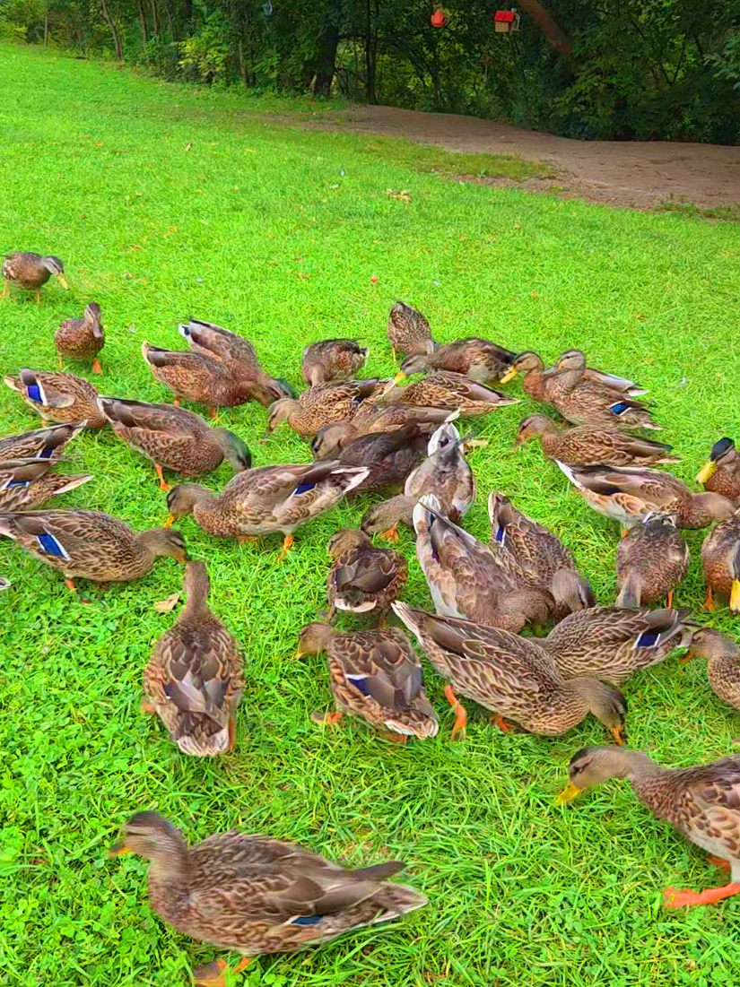 @GANESH'S Memory Maker🙏🧿