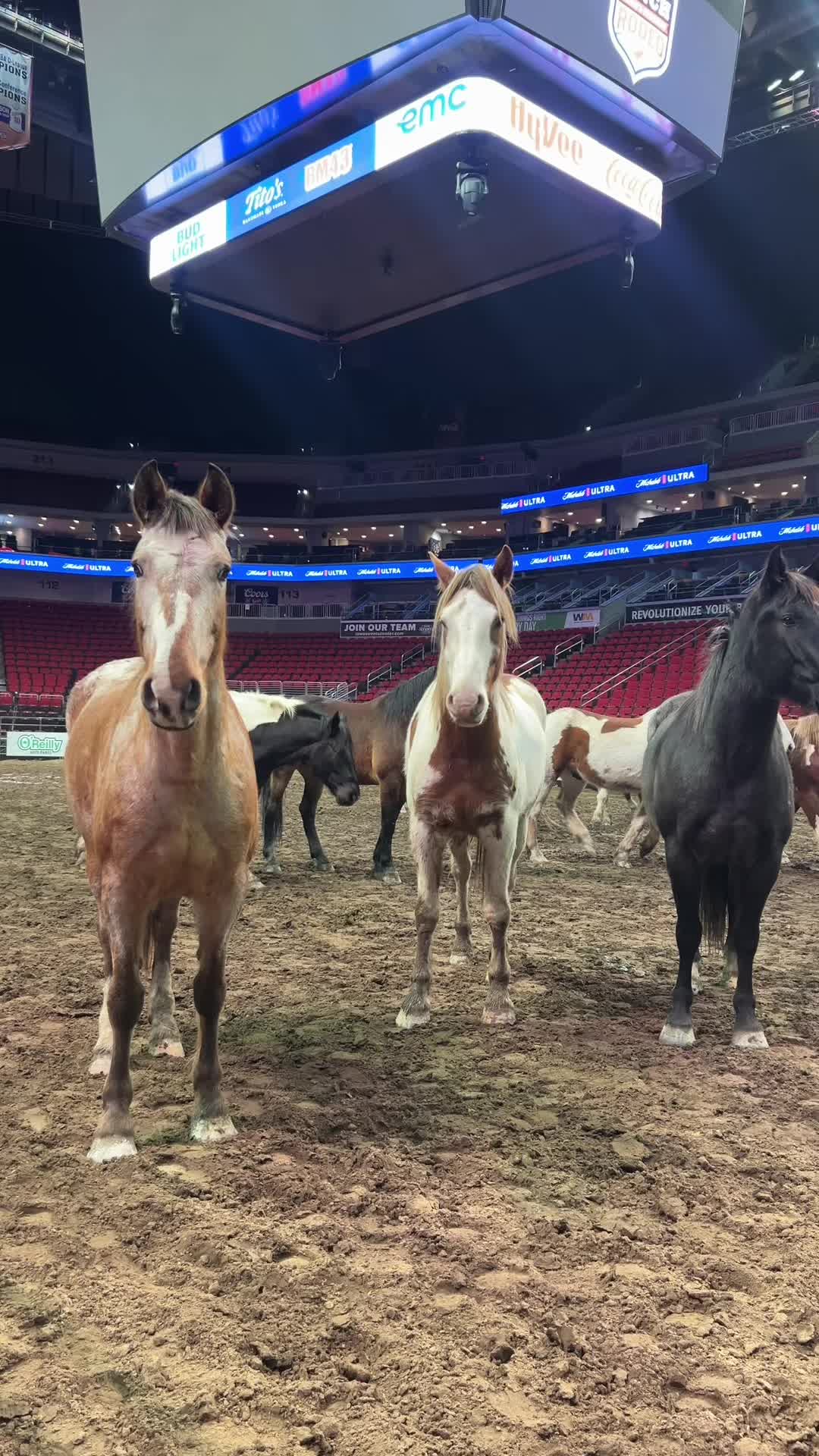 @CinchWorldsToughestRodeo